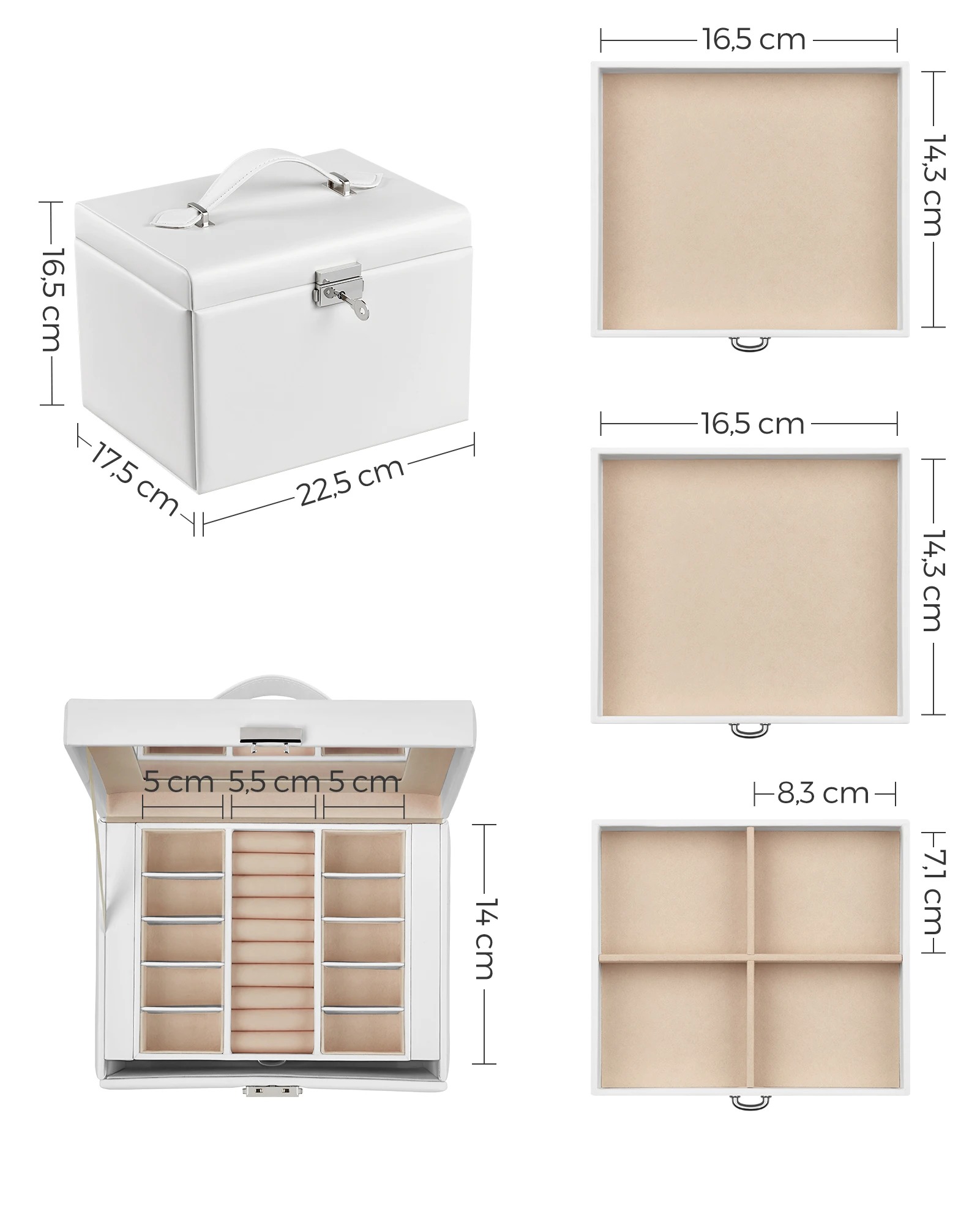 main-image-6
