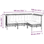 main-image-6