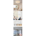 description-image-1