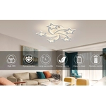 description-image-1