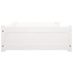 main-image-6