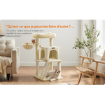 description-image-1