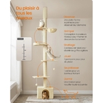 main-image-3