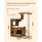 main-image-5