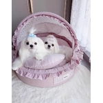 description-image-6