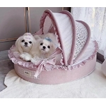 description-image-1