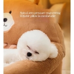 description-image-4 (1)