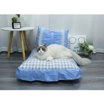 description-image-12