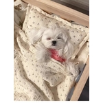 description-image-13