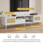 main-image-4