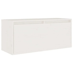 main-image-5