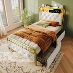 main-image-4