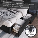 main-image-4