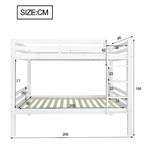 main-image-4