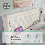 main-image-4