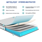 main-image-4