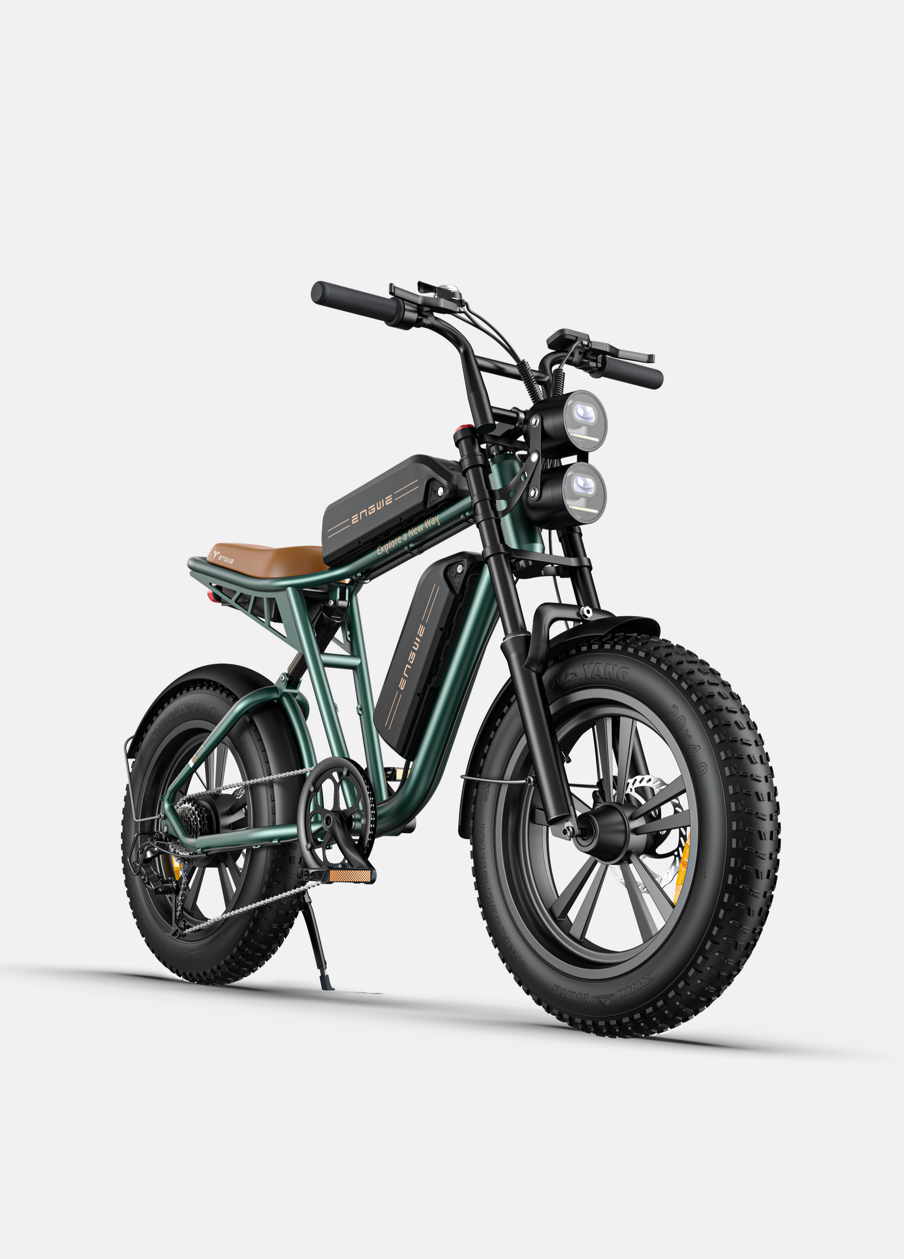 ENGWE M20 (1)