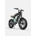 ENGWE M20 (1)