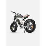 ENGWE M20 (12)