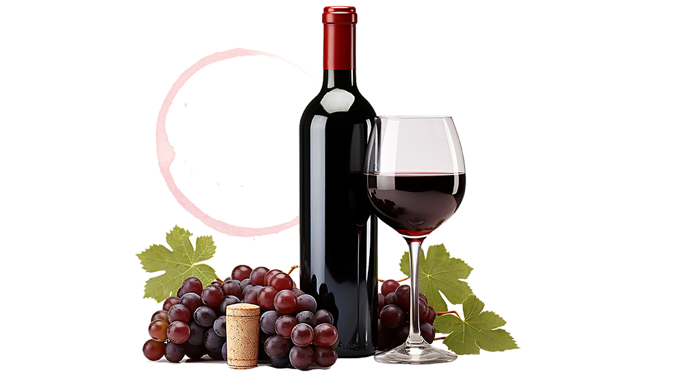 vente en ligne de vin2