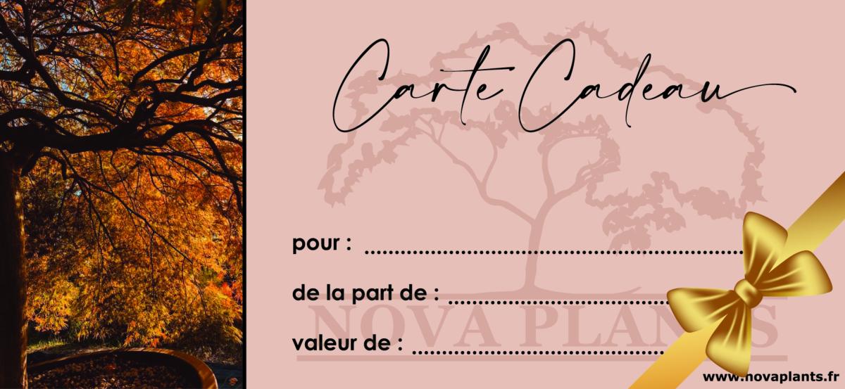 Carte-Cadeau-v2-zoom