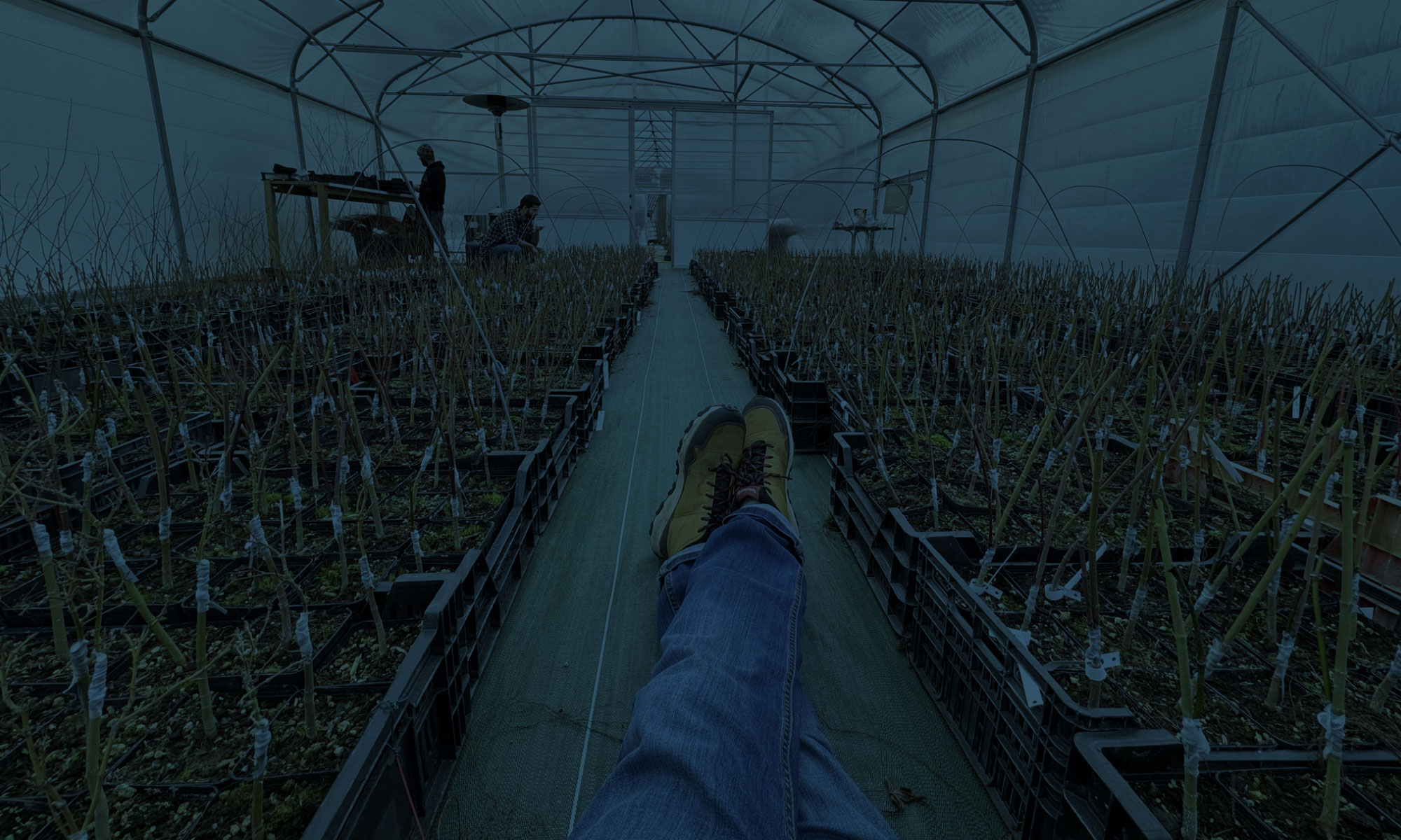 nova plants exploitation