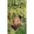 a8e81205-b034-4ff5-81b9-ead834087486-Petite-zoom