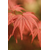 ChatGPT Image 25 oct. 2025, 14_33_06