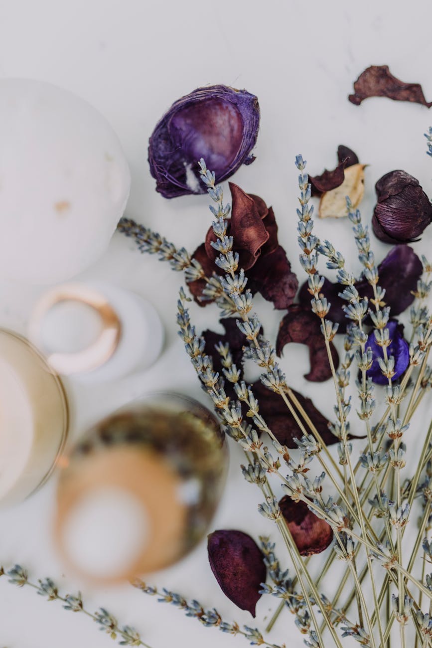 photos gratuites de a base de plantes ambiant amour
