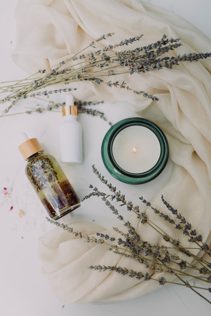 photos gratuites de a base de plantes amour anxiete