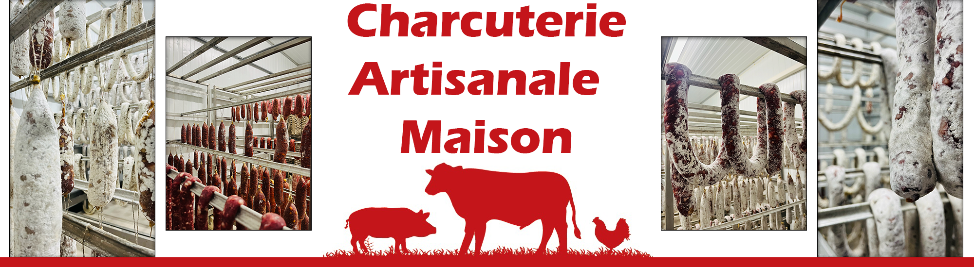design sans titre 1