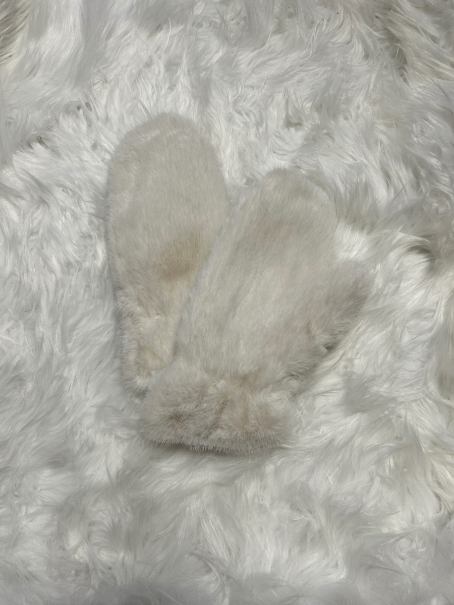 IMG-1528-zoom