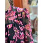 IMG-1279-zoom