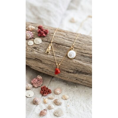 Collier argent 925 doré à l'or fin 18k et corail et oeil de sainte lucie