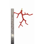 pendentif branche corail or 18k pendentif branche corail or 18k