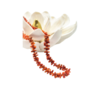 Collier pour femme en corail rouge de l'île de beauté