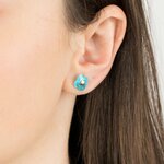 puce-d-oreilles-or-jaune-turquoise (1)