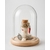 Cloche porte bonheur fiole avec gros sel corail oeil de ste lucie et immortelle