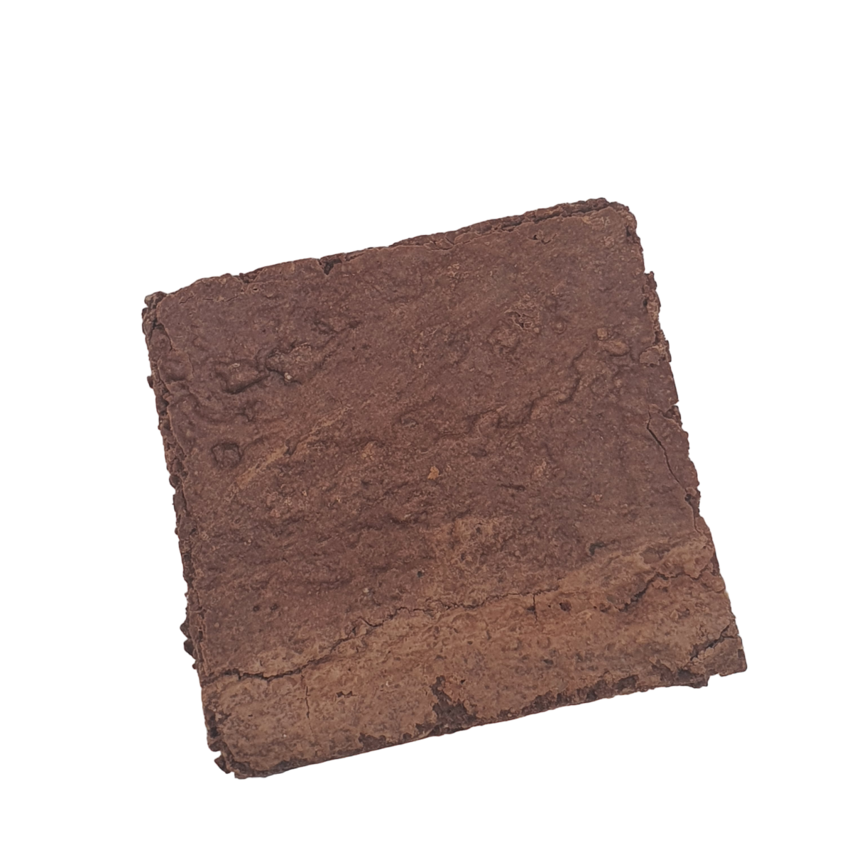 brownie-vidal-2-zoom