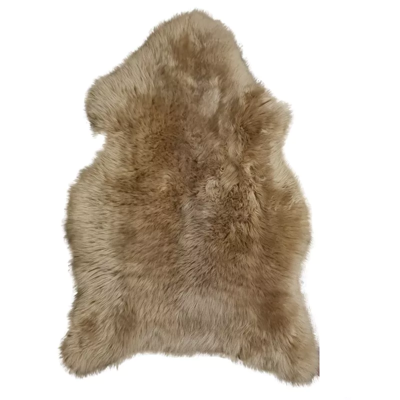 CAMELSKINSHEEP