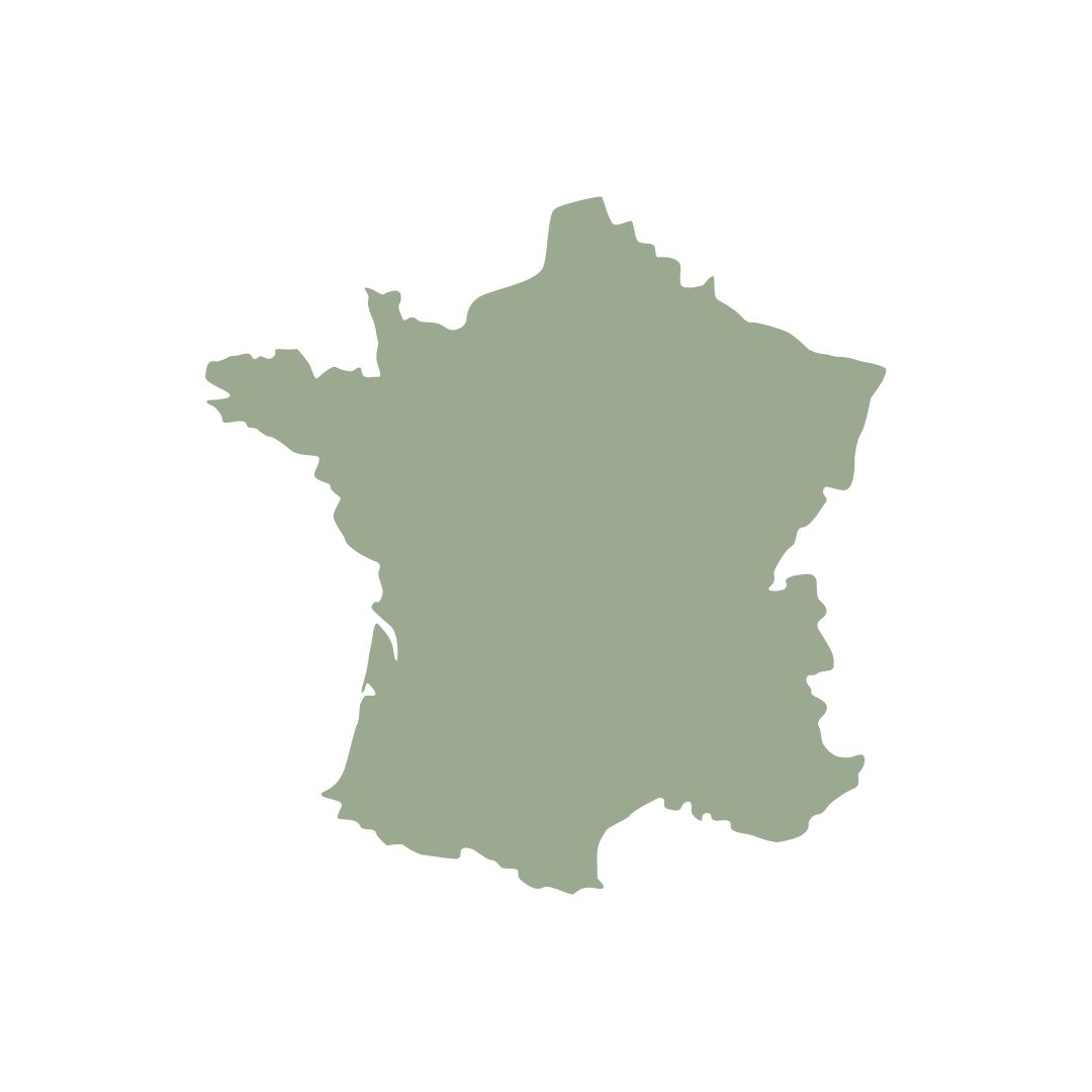 livraison en france