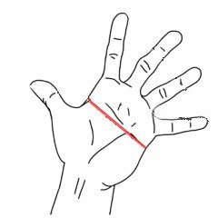 guide des tailles gant