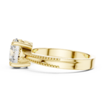 LR-0024@Y-#viwe3