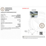 cdl0006