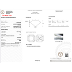 CDL0009