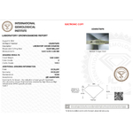 CDL0006