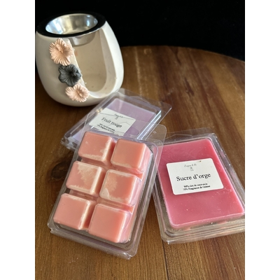Fondants pour brûle parfum 5.9€