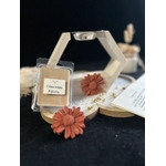 grand modèle 20€
