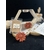 grand modèle 20€