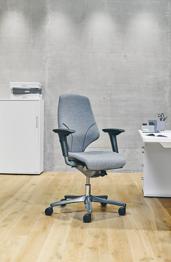 BakkerElkhuizen-giroflex-64-ergonomic-office-chairs-1697184550-7